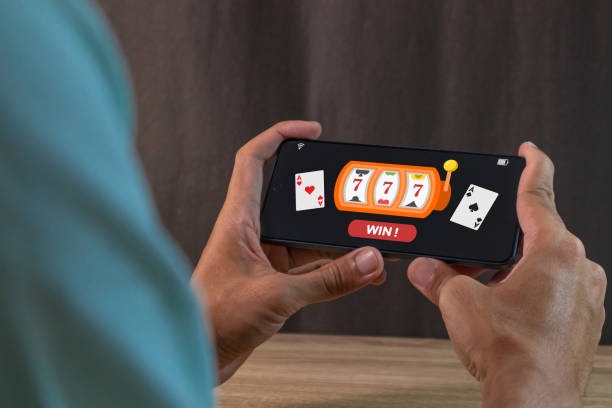 topwd slot What Bingo Offers at topwd slot